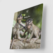 Baby Monkey Wall Clock Quadratische Wanduhr (Winkel)