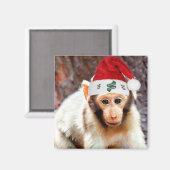 Baby Monkey zu Weihnachten Magnet (Vorderseite/Rückseite)