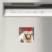 Baby Monkey zu Weihnachten Magnet (In Situ (Geschirrspüler))
