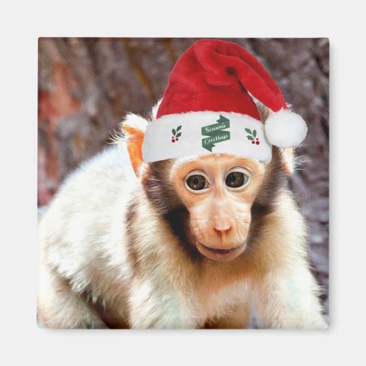 Baby Monkey zu Weihnachten Magnet (Vorne)