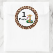 Baby Month Stickers (Tasche)
