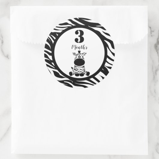 Baby Month Stickers (Tasche)