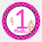 Baby Month Stickers (Vorderseite)