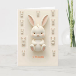 Baby Monthly Milestone Cards Karte