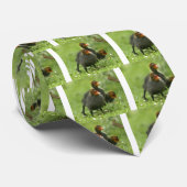 Baby Moorhens, England. Krawatte (Gerollt)