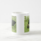 Baby Moorhens Kaffeetasse (Mittel)