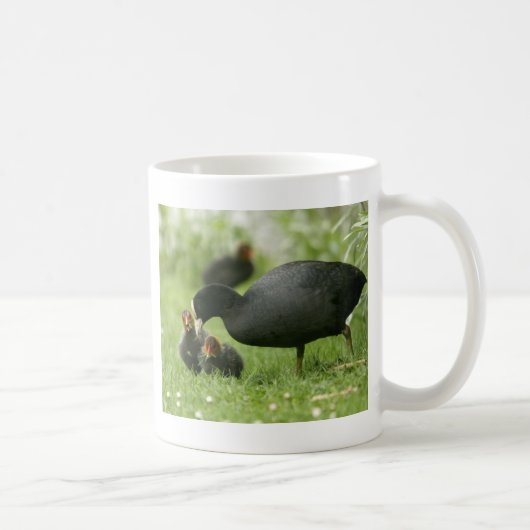 Baby Moorhens Kaffeetasse (Rechts)