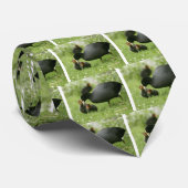 Baby Moorhens Krawatte (Gerollt)