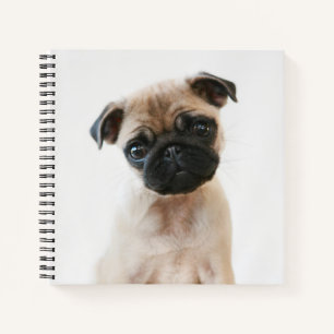 Baby Mops Portrait Notizblock