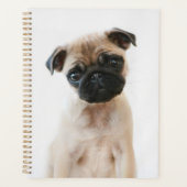 Baby Mops Portrait Planer (Vorderseite)