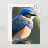 Baby Mountain Bluebird, Postcross Postkarte (Vorne/Hinten)
