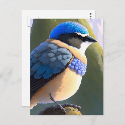 Baby Mountain Bluebird, Postcross Postkarte (Vorne/Hinten)