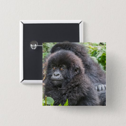 Baby Mountain Gorilla Button (Vorne & Hinten)