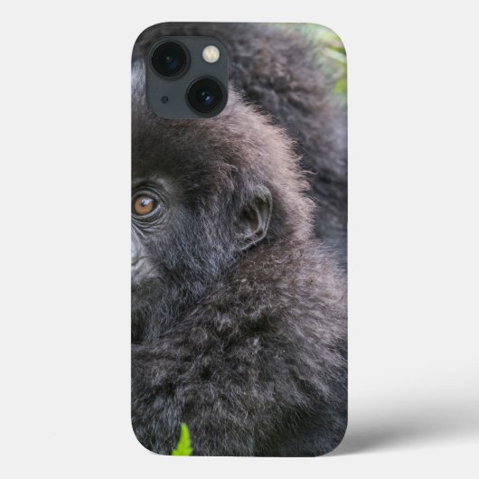 Baby Mountain Gorilla Case-Mate iPhone Hülle (Rückseite)