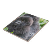 Baby Mountain Gorilla Fliese (Seite)