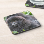 Baby Mountain Gorilla Getränkeuntersetzer (Linke Seite)