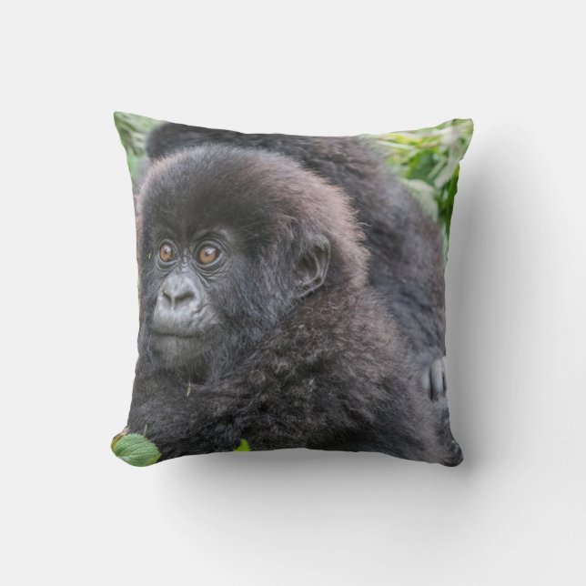 Baby Mountain Gorilla Kissen (Vorderseite)