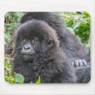 Baby Mountain Gorilla Mousepad