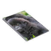 Baby Mountain Gorilla Notizblock (Rechte Seite)