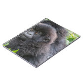 Baby Mountain Gorilla Notizblock (Linke Seite)