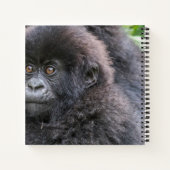 Baby Mountain Gorilla Notizblock (Rückseite)