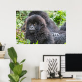 Baby Mountain Gorilla Poster (Heimbüro)