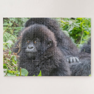 Baby Mountain Gorilla Puzzle