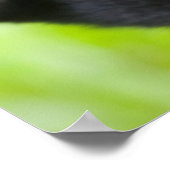 Baby Mountain Gorilla Spielen im Regenwald Poster (Ecke)