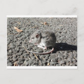 Baby Mouse Postkarte (Vorderseite)