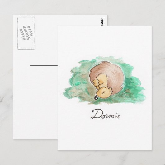 Baby Nickerchen Postkarte (Vorne/Hinten)