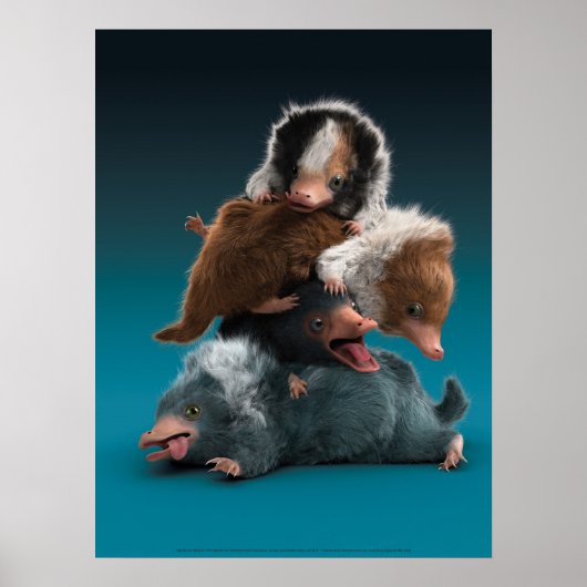 Baby NIFFLER™ Pile Poster (Vorne)
