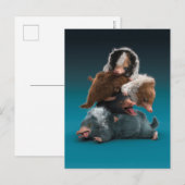 Baby NIFFLER™ Pile Postkarte (Vorne/Hinten)