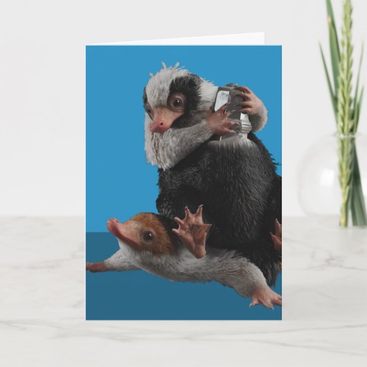 Baby Nifflers Find A Prize Karte (Vorderseite)