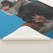 Baby Nifflers Find A Prize Sherpadecke (3/4)