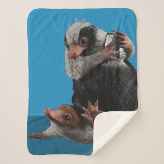 Baby Nifflers Find A Prize Sherpadecke (Vorderseite)