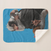 Baby Nifflers Find A Prize Sherpadecke (Vorderseite (Horizontal))