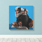 Baby Nifflers findet den Preis Leinwanddruck (Insitu (Holzboden))