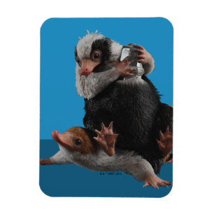 Baby Nifflers findet den Preis Magnet