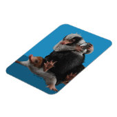 Baby Nifflers findet den Preis Magnet (Linke Seite)