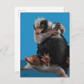 Baby Nifflers findet den Preis Postkarte (Vorne/Hinten)