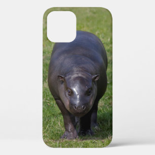 Baby-Nilpferd-iPhone-12-Hülle Case-Mate iPhone Hülle