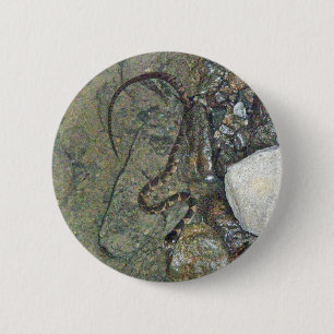 Baby Northern Water Schlange (Nerodia sipedon) Art Button