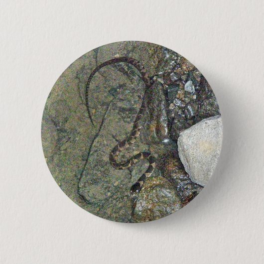 Baby Northern Water Schlange (Nerodia sipedon) Art Button (Vorderseite)