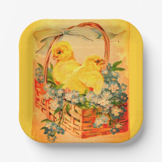 Baby Oaster Chicks in einem Korbpapier-Teller Pappteller (Vorderseite)