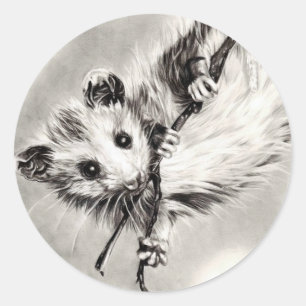 Baby-Opossum-Aufkleber Runder Aufkleber