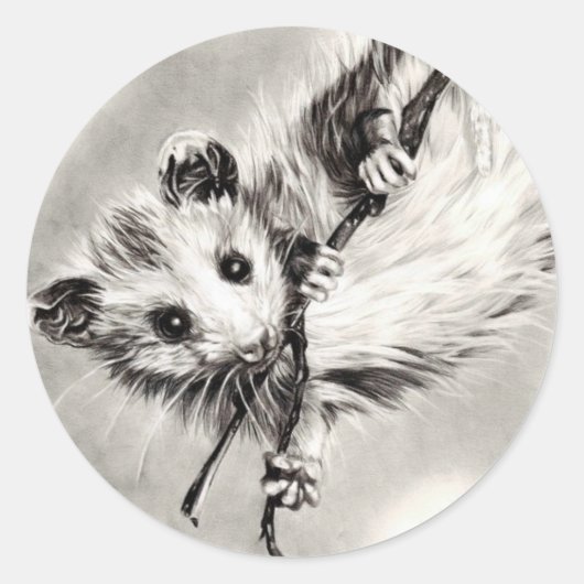 Baby Opossum Stickers (Vorderseite)