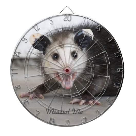 Baby-Opossumdartboard-Dartscheibe Dartscheibe (vorne)