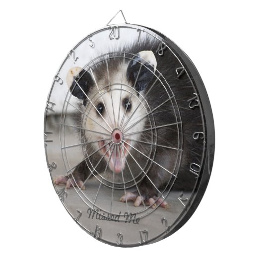 Baby-Opossumdartboard-Dartscheibe Dartscheibe (Vorderseite rechts)