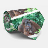 Baby-Orang-Utan Krawatte (Gerollt)
