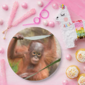 Baby Orang-Utan Verbindung Pappteller (Party)